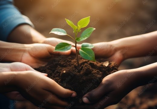 Service Environnement / BEA