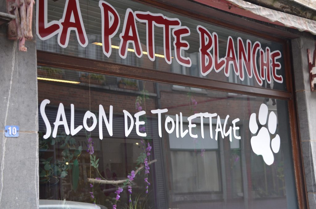 patte blanche