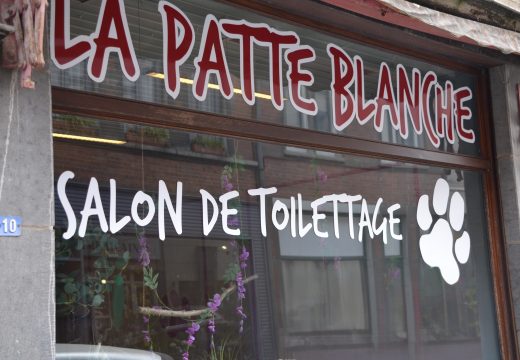 patte blanche