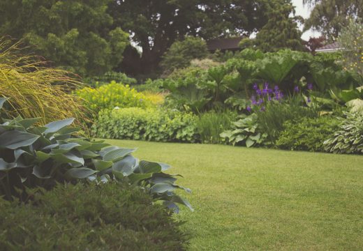 parc et jardin