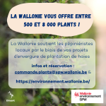 𝑳𝒂 𝑾𝒂𝒍𝒍𝒐𝒏𝒊𝒆 𝒗𝒐𝒖𝒔 𝒐𝒇𝒇𝒓𝒆 𝒆𝒏𝒕𝒓𝒆 500 𝒆𝒕 8 000 𝒑𝒍𝒂𝒏𝒕𝒔 !