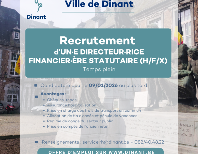 La Ville de Dinant recrute un·e Directeur·rice financier·ère statutaire – Temps plein (H/F/X)